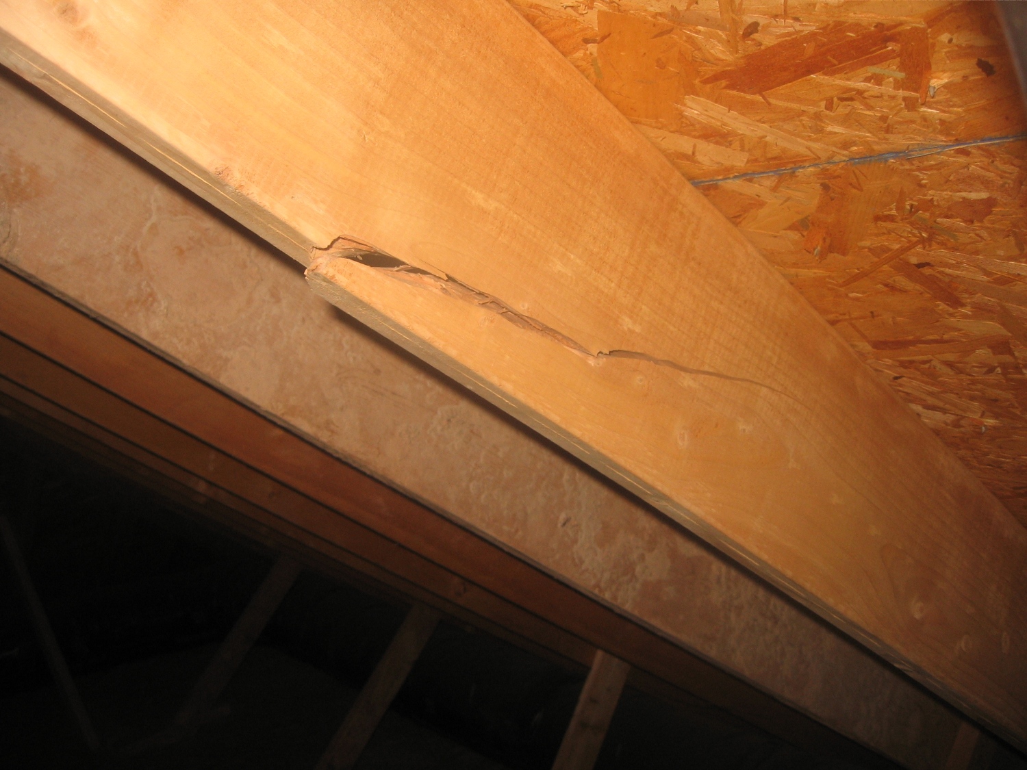 rafter revit cracked